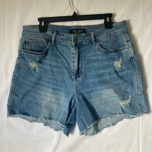 Judy Blue Light Blue Distressed Jean Shorts
